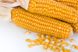 Гибрид кукурузы Амарок 290 (ФАО 320), Украина 16799194351 фото 2