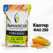Насіння кукурудзи Квотер ФАО 290 2304508800 фото 6
