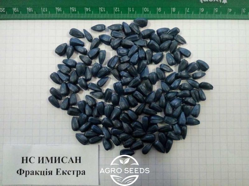 Семена подсолнуха гибрид НС Имисан, ТМ "Юг Агролидер", Сербия 1327130128 фото