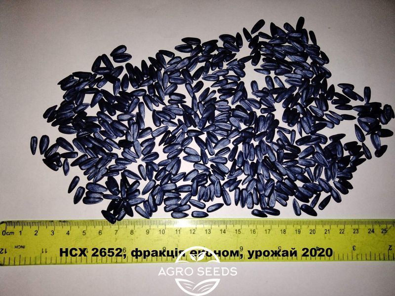 Насіння соняшника гібрид НС Х 2652 під гранстар, ТМ "Юг Агролідер", Сербія 1486281935 фото