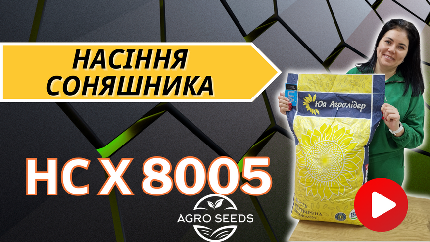 Семена подсолнечника гибрид НС Х 8005, Сербия 11486294998 фото