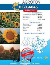 Семена подсолнечника гибрид НС-Х-6045 под евро-лайтнинг, ТМ "Юг Агролидер", Сербия 1327160986 фото