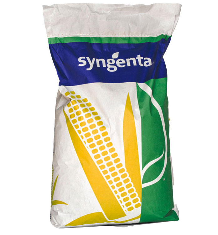 насіння кукурудзи Syngenta